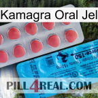 Kamagra Oral Jel new14